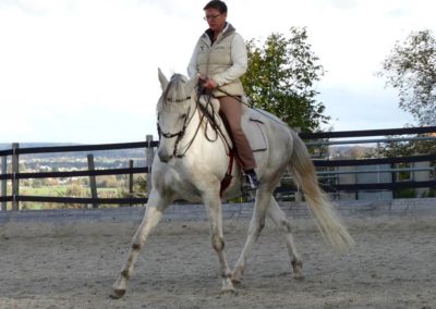 Seitengänge Lara Ree mit Pferd